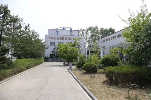 朝鮮版“小黑瓶”與消費(fèi)文化之思